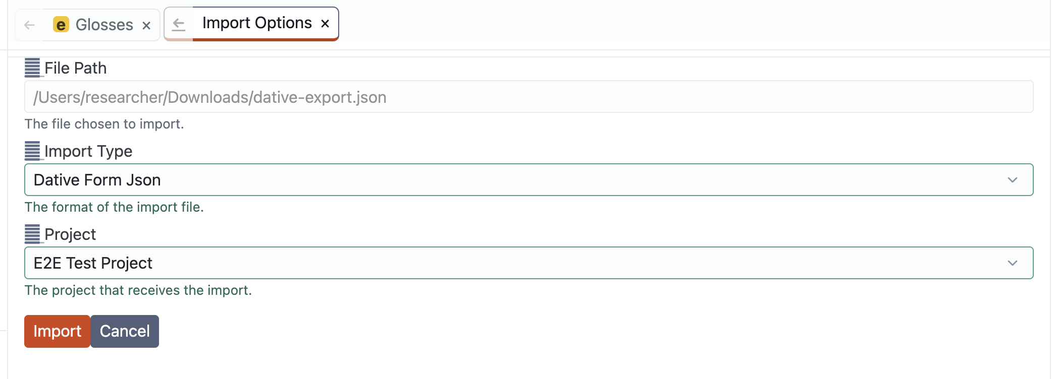 Import Options for a Dative JSON file